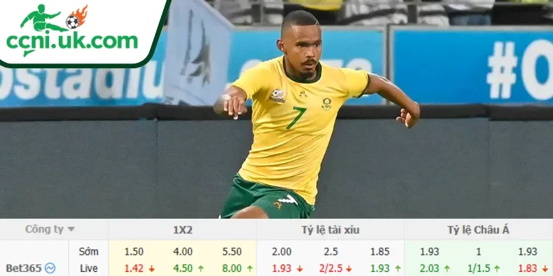 Soi Kèo Mexico vs Nam Phi (02h00 Ngày 12/06) Bảng A World Cup 3 Chi tiết kèo Mexico vs Nam Phi (02h00 ngày 12/06)