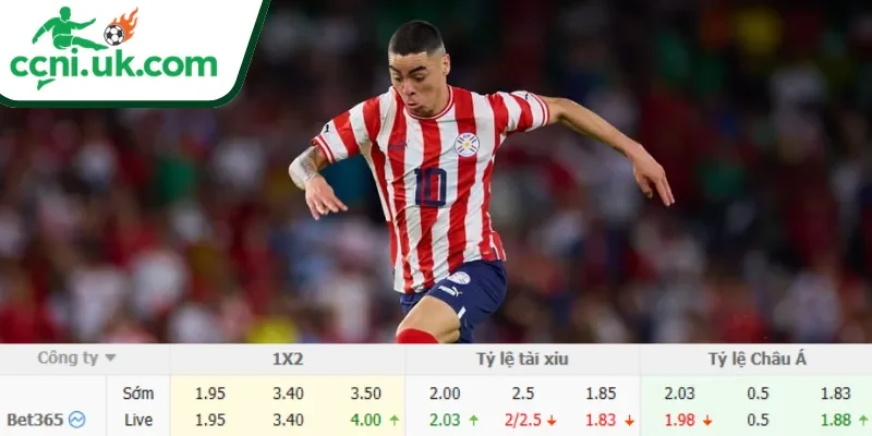 Soi Kèo Mỹ vs Paraguay (08h00 Ngày 13/06) Bảng D World Cup 3 Chi tiết kèo Mỹ vs Paraguay (08h00 ngày 13/06)